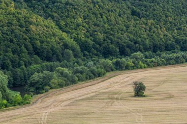 Agricultural Rolling Spring Autumn Landscape. Natural Landscape In Brown And Yellow Color. Waved Cultivated Row Field And Tree. Striped Undulating Unreal Abstract Plowed Field.