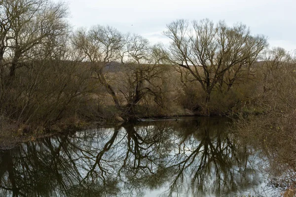 Reflection Trees Mirror Surface Water Lake City Pond Spring Still — Zdjęcie stockowe