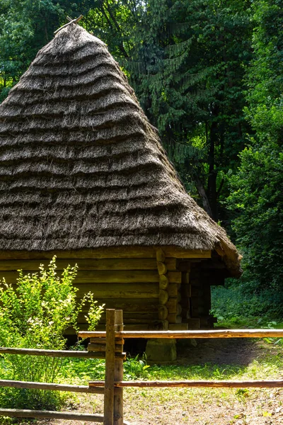 Güneşli bir yaz gününde ormanın arka planında sazdan bir çatı altında geleneksel Ukrayna eski evi.