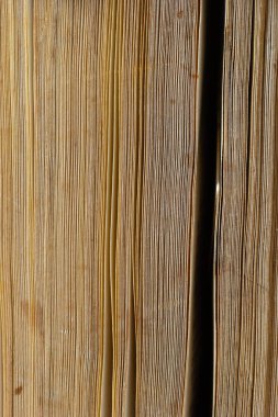 Book background. Stack of books in the library. Old yellow pages of paper books. Learning and knowledge.