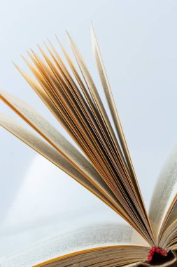 Kitap yığınları üzerine açık bir kitap arka plan shcool çalışma kitabı. Edebiyat, eğitim ve kitap yayıncılığı kavramı. Metin için boş alan.