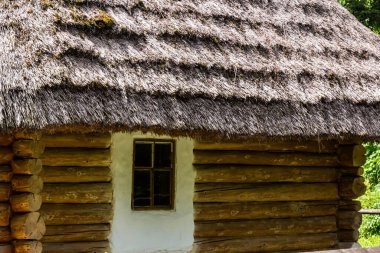 Güneşli bir yaz gününde ormanın arka planında sazdan bir çatı altında geleneksel Ukrayna eski evi.