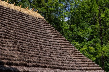 Güneşli bir yaz gününde ormanın arka planında sazdan bir çatı altında geleneksel Ukrayna eski evi.