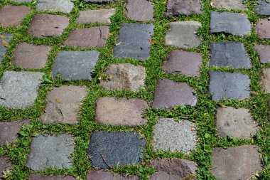 Yoldaki kaldırım taşında yeşil çimenler var. Kentsel planlama, vintage, seyahat temasının arkaplan resmi.