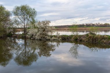 Early spring in the city park. Amazing view of the pond. City park in winter scenery. Beautiful little pond in early spring .