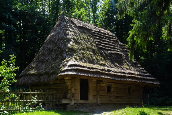 夏日阳光明媚的时候 传统的乌克兰老房子在森林背景的茅草屋顶下 — 图库照片