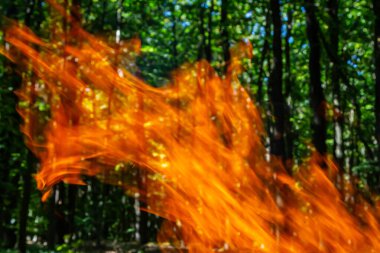 Kömür ateşinin alevi. Pişirme ve ısıtma için toprak. Ormanda tehlike.