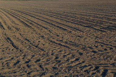 Toprağı sürdüm, ektim ve Hilling Tarlaları kara toprak tarlası. Temel Doku.
