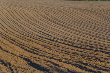 Toprağı sürdüm, ektim ve Hilling Tarlaları kara toprak tarlası. Temel Doku.