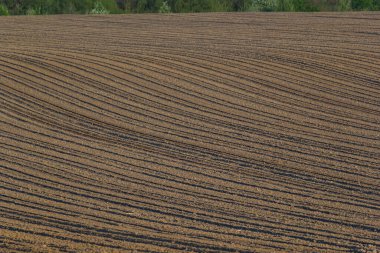 Toprağı sürdüm, ektim ve Hilling Tarlaları kara toprak tarlası. Temel Doku.
