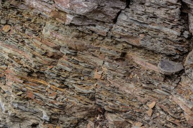 Dünya yüzeyinde açığa çıkan kayaların çoğu tortulu kayalardır. Tortul kayalar parçacıklar halinde, yatak yatak parçacıklar halinde ve katmanlar üst üste yığılır..