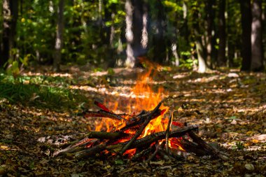 Kömür ateşinin alevi. Pişirme ve ısıtma için toprak. Ormanda tehlike.