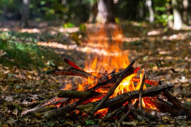 Kömür ateşinin alevi. Pişirme ve ısıtma için toprak. Ormanda tehlike.