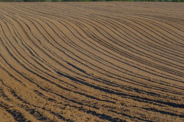 Toprağı sürdüm, ektim ve Hilling Tarlaları kara toprak tarlası. Temel Doku.
