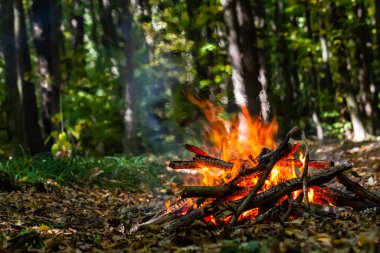 Kömür ateşinin alevi. Pişirme ve ısıtma için toprak. Ormanda tehlike.