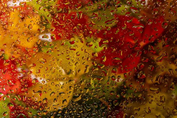 stock image abstract background fall, glass drops autumn yellow leaves wet october weather.