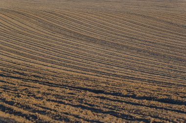 Toprağı sürdüm, ektim ve Hilling Tarlaları kara toprak tarlası. Temel Doku.