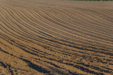 Toprağı sürdüm, ektim ve Hilling Tarlaları kara toprak tarlası. Temel Doku.