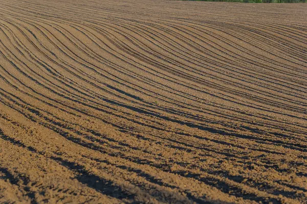 Toprağı sürdüm, ektim ve Hilling Tarlaları kara toprak tarlası. Temel Doku.
