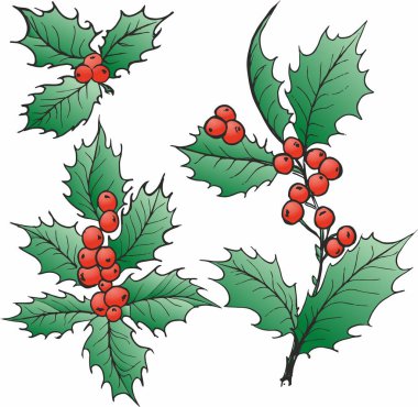 Noel süslemesi, el çizimi Holly 'nin çilek vektör çizimi.