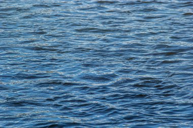 Güzel bir su arka planının görüntüsü.