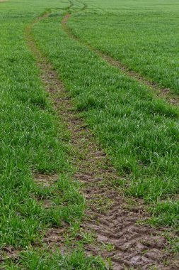 Islak bir çayırda çamurda traktör izleri..