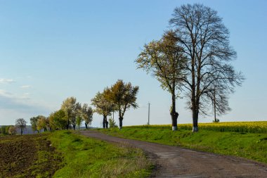 Kırık ülke toprak yol ile lots-in yağmur sonra çamurlu su birikintileri bahar dağlarda.