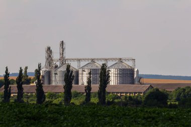 Tarımsal ürünlerin, unun, mısır gevreğinin ve tahılın kuru temizleme ve depolanması için tarım işleme ve imalat tesisinde gümüş silolar. Granary asansörü.