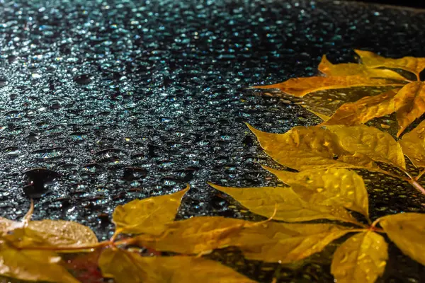 stock image abstract background fall, glass drops autumn yellow leaves wet october weather.