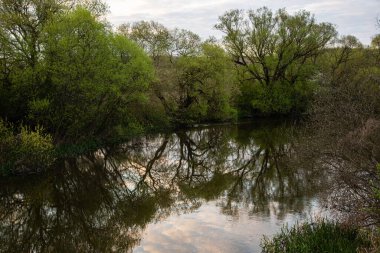 Ağaçlarla kaplı yeşil kıyılarda bir nehir..