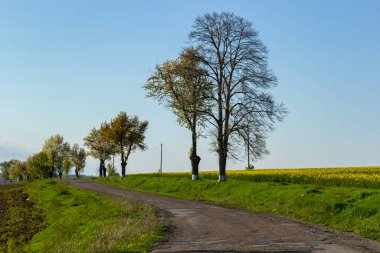 Kırık ülke toprak yol ile lots-in yağmur sonra çamurlu su birikintileri bahar dağlarda.