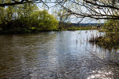 İlkbaharda çiçekler açar, mavi gökyüzü ve beyaz bulutlar göle yansır..