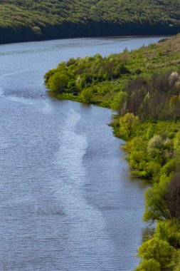 Ağaçlarla kaplı yeşil kıyılarda bir nehir..