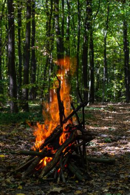 Kömür ateşinin alevi. Pişirme ve ısıtma için toprak. Ormanda tehlike.