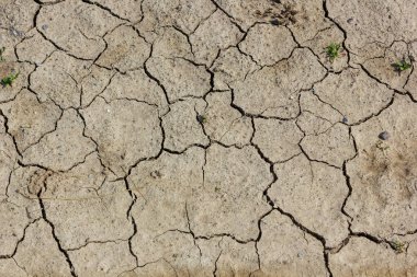 Duvar dokusu, toprak kuru çatlak, kuraklık, susuzluk, kahverengi, kırık arka plan..