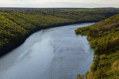 Ağaçlarla kaplı yeşil kıyılarda bir nehir..