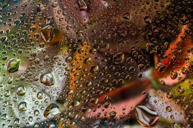 Soyut arka plan düşüşü, cam düşüşü sonbahar sarı yapraklar ıslak Ekim havası.