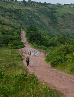 Yalnız bir yürüyüşçü, canlı bitki örtüsü ve tepelerle çevrili çamurlu bir patika boyunca yürür. Sakin, doğal bir ortamda, hafif bulutlu bir gökyüzünün altında..