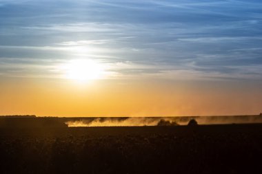Çiftçilerin tarlada çalışarak akşam saatlerinde huzurlu bir atmosfer oluşturduğu tozla birlikte altın güneş ışığı geniş bir tarla üzerinde batıyor..