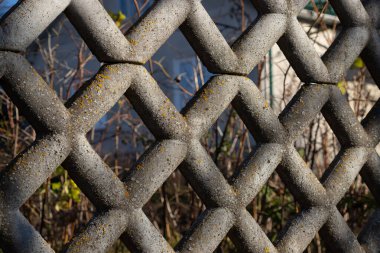 Karmaşık kafes çitleri, gün ışığıyla aydınlatılan, aşırı büyümüş yeşilliklerin bir zemin zeminine ve yerleşik bir yapıya karşı çerçevelenmiş geometrik bir desen içerir..