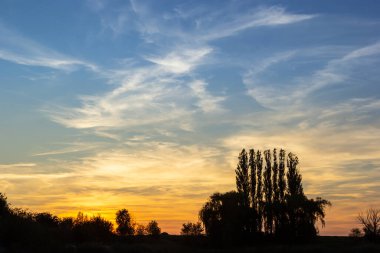 Vibrant hues of orange and blue fill the sky as the sun sets behind tall trees, casting silhouettes against the tranquil riverbank in the evening light. clipart