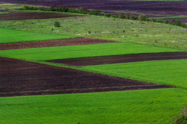 Tarım arazileri, büyüyen mevsimde güneşli bir kırsal bölgede, ekin rotasyonu ve tarım tekniklerini gösteren zıt yeşil ve kahverengi alanlar sergiliyor..