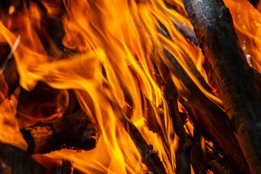 Kömür ateşinin alevi. Pişirme ve ısıtma için toprak. Ormanda tehlike.