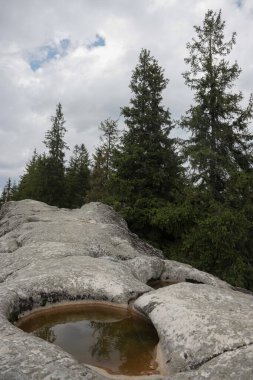 Kayalık bir çıkıntı, bulutlu gökyüzünü yansıtan sığ bir su havuzuna sahiptir ve sık yeşil ağaçlarla çevrelenmiş, sakin bir açık hava ortamı oluşturur..