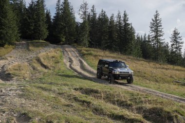 A four-wheel drive vehicle traverses a challenging dirt path surrounded by tall coniferous trees under a clear blue sky, highlighting the excitement of outdoor adventures. clipart