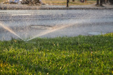 Fıskiyeler, güneşli bir Arnavut mahallesindeki canlı yeşil çimlere su püskürterek öğleden sonra geç saatlerde ferahlatıcı bir atmosfer yaratıyor..