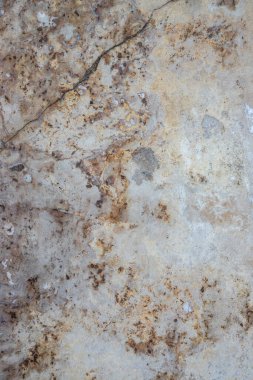 Çatlaklarla ve lekelerle işaretlenmiş karmaşık doku ve renkleri gösteren bir yüzey, büyük olasılıkla kırsal bir ortamda bulunan yaş ve aşınma belirtilerini gösterir..