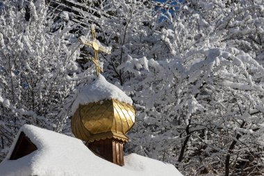 Bir haçla süslenmiş altın bir kubbe, açık mavi gökyüzünün altında karla kaplı ağaçlarla kaplıdır. Sakin kış atmosferi büyüleyici..
