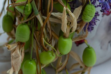 Kurumuş çiçeklerle harmanlanmış canlı yeşil bitki kabuklarının yakın çekim görüntüsü. Kompozisyon, taze yeşil ve kurumuş elementlerin sessiz tonları arasındaki zıtlığı vurguluyor..