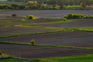 Yayılan tarlalar zengin siyah toprağı sergiliyor, taze sürülmüş ve canlı yeşil çimlerle çevrili. Sakin bir kırsal alan, öğleden sonra ışıklarıyla doğanın huzurunu yakalıyor..